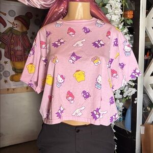 Sanrio Hello Kitty Pink Owl T-Shirt